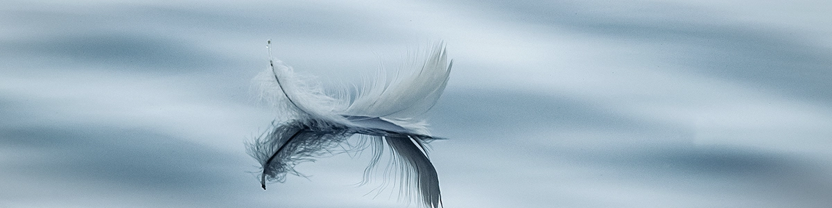 Nahaufnahme einer einzelnen, weißen Vogelfeder, die sanft auf der Oberfläche von leicht gewelltem, hellem Wasser schwimmt. Die Feder spiegelt sich leicht im Wasser. Das Bild vermittelt Ruhe und Leichtigkeit und ist ein Beispiel für Natur- und Detailfotografie von Michael Schalansky.