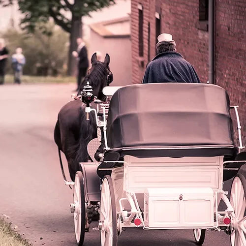 Hochzeitsreportage in Thüringen: Hochzeitskutsche mit Pferd auf dem Weg zur Feier – romantische Momentaufnahme von Michael Schalansky.