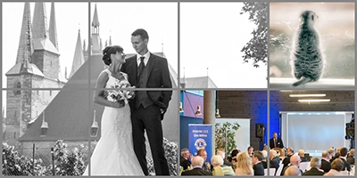 Drei atmosphärische Eventbilder in einer Collage. Ein Brautpaar tauscht verliebte Blicke vor der imposanten Kulisse einer historischen Stadt Erfurt. Ein aufmerksames Erdmännchen in seinem natürlichen Umfeld. Eine geschäftliche Veranstaltung, bei der Reden gehalten und Kontakte geknüpft werden, eingefangen in einem stimmungsvollen Licht. Diese Bilder illustrieren Michael Schalanskys Fähigkeit, die Geschichte und Stimmung von Events festzuhalten.