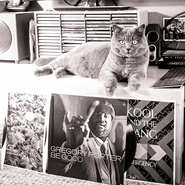 Schwarz-weiß Tierfoto einer grauen Katze in Innenraum-Umgebung – liegend auf einem Sideboard, direkter Blick in die Kamera, Schallplatten und HiFi-Setup im Hintergrund.