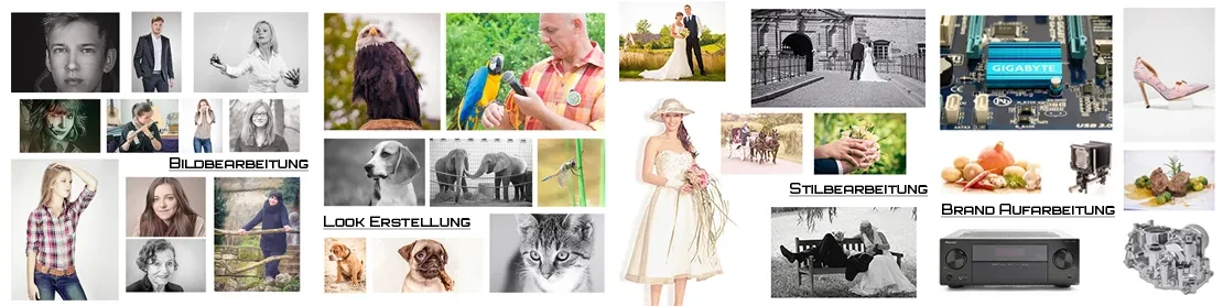 Portfolio-Collage von Michael Schalansky – Porträt-, Tier-, Hochzeits- und Produktfotografie Portfolio-Collage von Fotograf Michael Schalansky aus Erfurt mit Porträtfotografie, Tierfotografie, Hochzeitsfotografie und Produktfotografie.