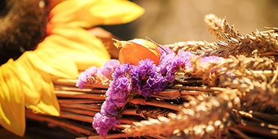 Detailaufnahme eines sommerlichen Blumenstraußes mit Sonnenblume, lila Blüten und dekorativen Gräsern