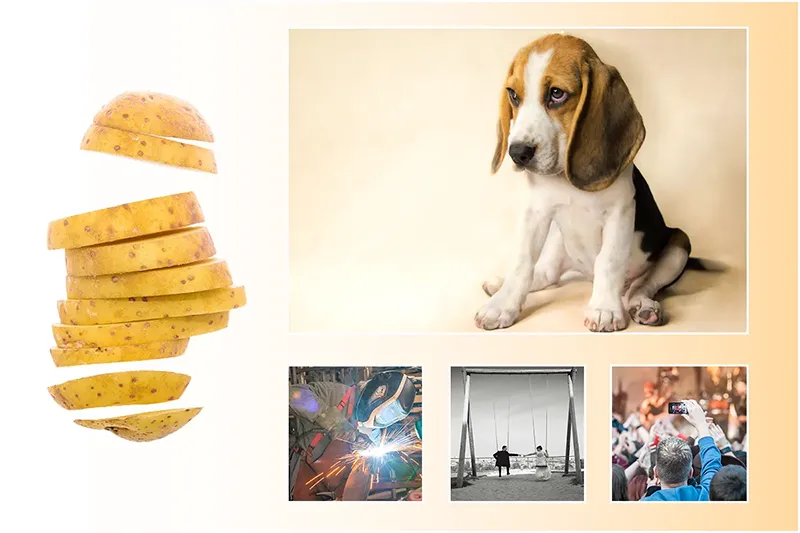 Aktionsbanner mit Ausschnitten aus meinem Portfolio von Fotograf Michael Schalansky in Erfurt.